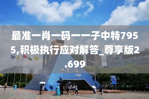 最准一肖一码一一子中特7955,积极执行应对解答_尊享版2.699