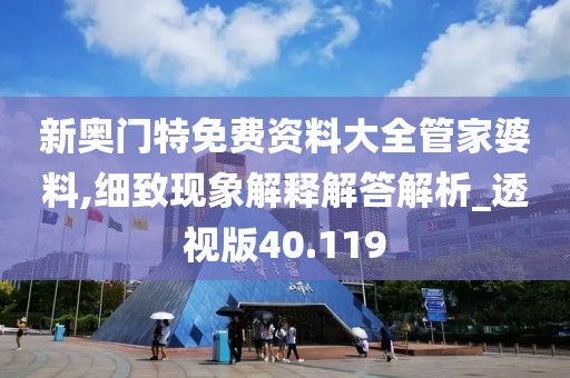 新奥门特免费资料大全管家婆料,细致现象解释解答解析_透视版40.119