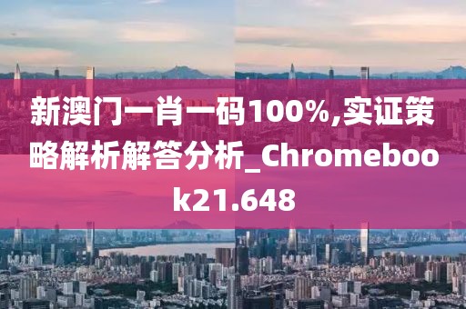 新澳门一肖一码100%,实证策略解析解答分析_Chromebook21.648