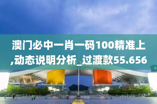 澳门必中一肖一码100精准上,动态说明分析_过渡款55.656