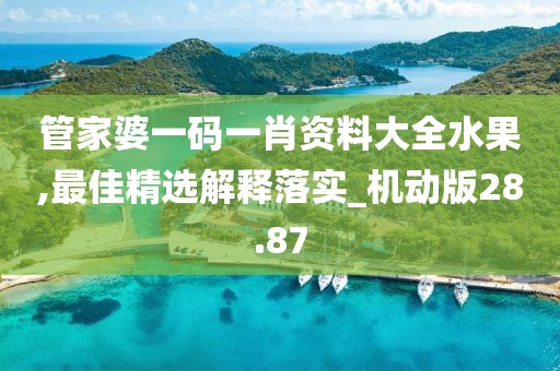 管家婆一码一肖资料大全水果,最佳精选解释落实_机动版28.87