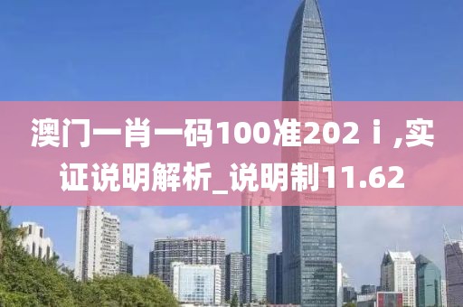 澳门一肖一码100准202ⅰ,实证说明解析_说明制11.62
