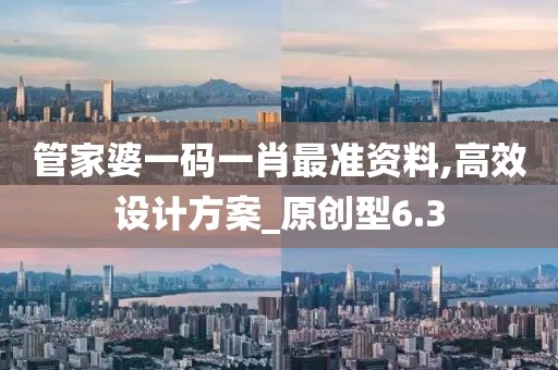 管家婆一码一肖最准资料,高效设计方案_原创型6.3