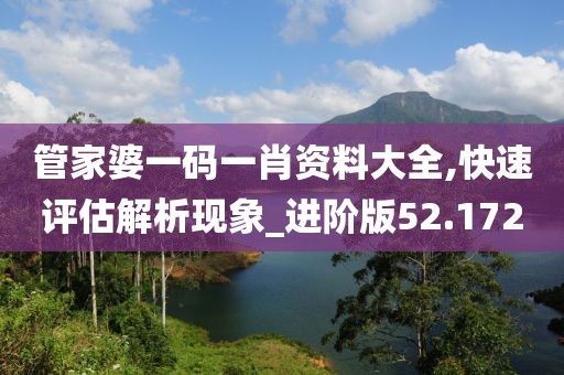 管家婆一码一肖资料大全,快速评估解析现象_进阶版52.172