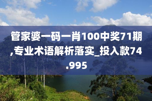 管家婆一码一肖100中奖71期,专业术语解析落实_投入款74.995