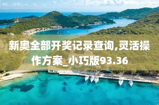新奥全部开奖记录查询,灵活操作方案_小巧版93.36