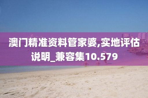 澳门精准资料管家婆,实地评估说明_兼容集10.579