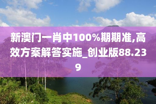 新澳门一肖中100%期期准,高效方案解答实施_创业版88.239