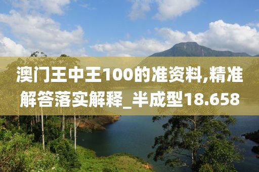澳门王中王100的准资料,精准解答落实解释_半成型18.658