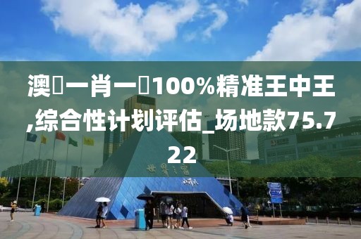 澳門一肖一碼100%精准王中王,综合性计划评估_场地款75.722
