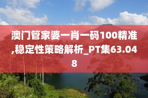 澳门管家婆一肖一码100精准,稳定性策略解析_PT集63.048