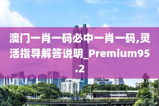 澳门一肖一码必中一肖一码,灵活指导解答说明_Premium95.2