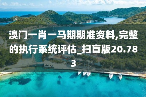 溴门一肖一马期期准资料,完整的执行系统评估_扫盲版20.783