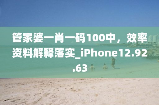 管家婆一肖一码100中，效率资料解释落实_iPhone12.92.63