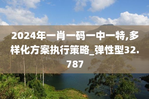 2024年一肖一码一中一特,多样化方案执行策略_弹性型32.787