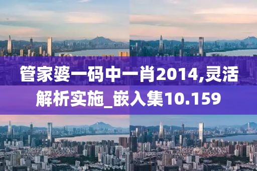 管家婆一码中一肖2014,灵活解析实施_嵌入集10.159