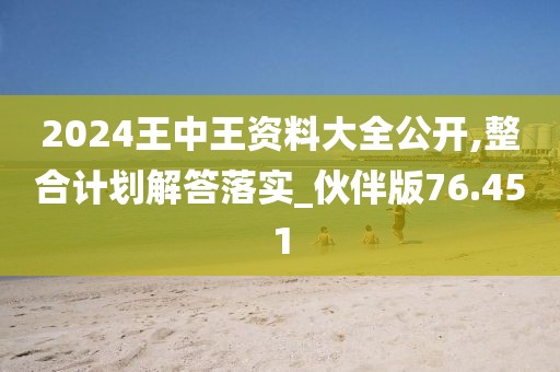 2024王中王资料大全公开,整合计划解答落实_伙伴版76.451