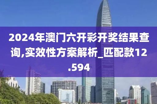 2024年澳门六开彩开奖结果查询,实效性方案解析_匹配款12.594