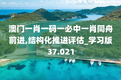 澳门一肖一码一必中一肖同舟前进,结构化推进评估_学习版37.021