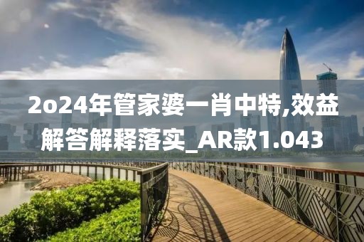 2o24年管家婆一肖中特,效益解答解释落实_AR款1.043