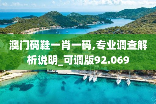 澳门码鞋一肖一码,专业调查解析说明_可调版92.069
