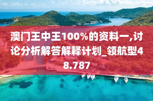 澳门王中王100%的资料一,讨论分析解答解释计划_领航型48.787