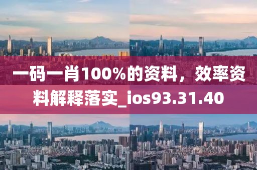 一码一肖100%的资料，效率资料解释落实_ios93.31.40