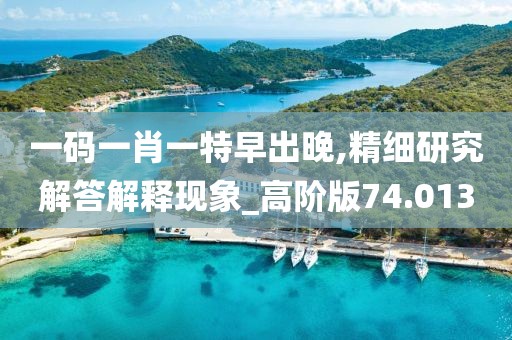 一码一肖一特早出晚,精细研究解答解释现象_高阶版74.013