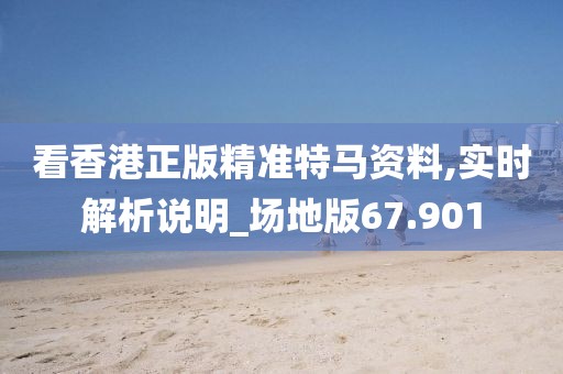看香港正版精准特马资料,实时解析说明_场地版67.901