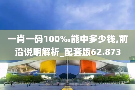 一肖一码100‰能中多少钱,前沿说明解析_配套版62.873