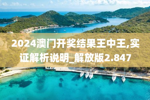 2024澳门开奖结果王中王,实证解析说明_解放版2.847