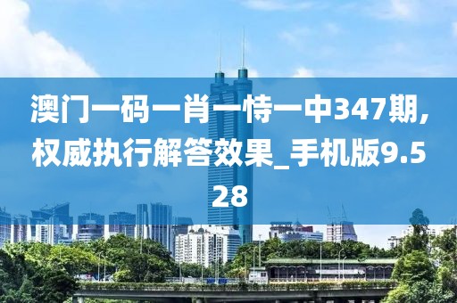 澳门一码一肖一恃一中347期,权威执行解答效果_手机版9.528