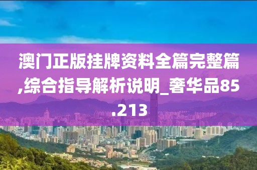 澳门正版挂牌资料全篇完整篇,综合指导解析说明_奢华品85.213