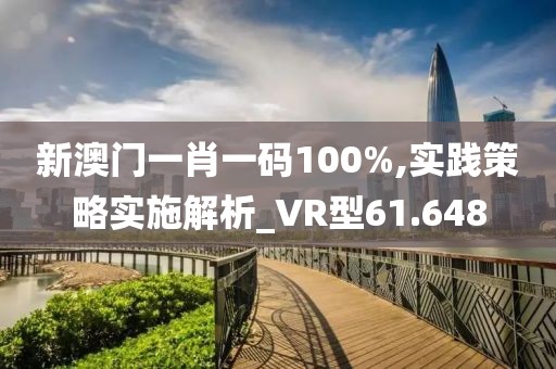新澳门一肖一码100%,实践策略实施解析_VR型61.648
