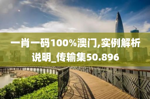 一肖一码100%澳门,实例解析说明_传输集50.896