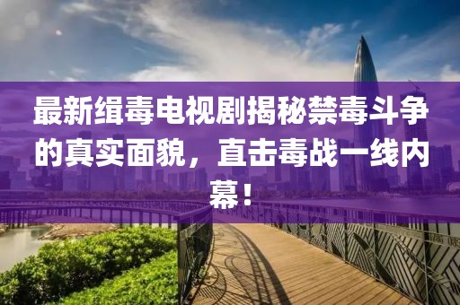 最新缉毒电视剧揭秘禁毒斗争的真实面貌，直击毒战一线内幕！
