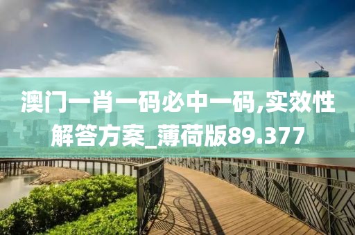 2024年11月 第2038页