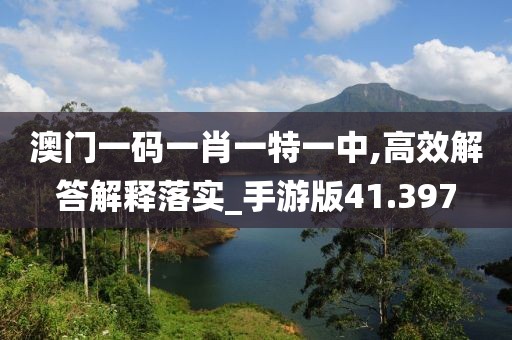 澳门一码一肖一特一中,高效解答解释落实_手游版41.397