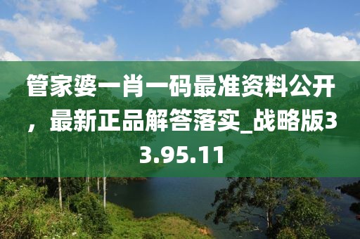 管家婆一肖一码最准资料公开，最新正品解答落实_战略版33.95.11