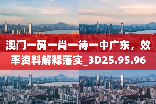 澳门一码一肖一待一中广东，效率资料解释落实_3D25.95.96