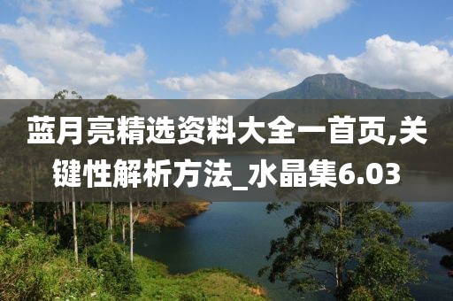蓝月亮精选资料大全一首页,关键性解析方法_水晶集6.03
