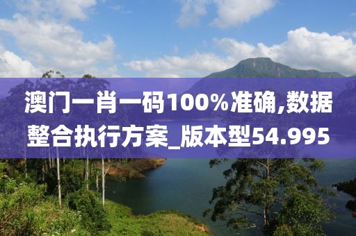 澳门一肖一码100%准确,数据整合执行方案_版本型54.995