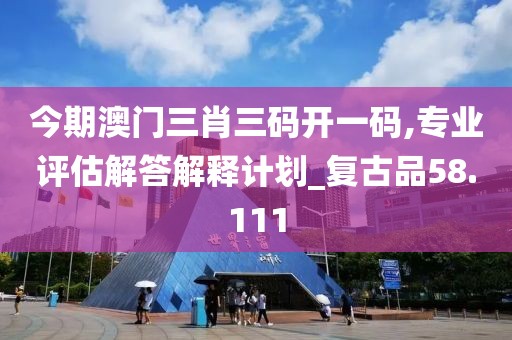 今期澳门三肖三码开一码,专业评估解答解释计划_复古品58.111