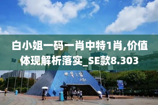 白小姐一码一肖中特1肖,价值体现解析落实_SE款8.303