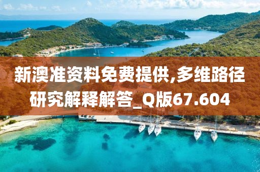 新澳准资料免费提供,多维路径研究解释解答_Q版67.604