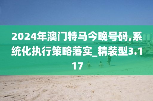 2024年澳门特马今晚号码,系统化执行策略落实_精装型3.117