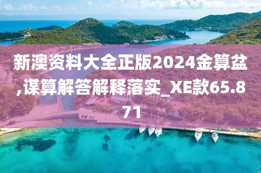 新澳资料大全正版2024金算盆,谋算解答解释落实_XE款65.871