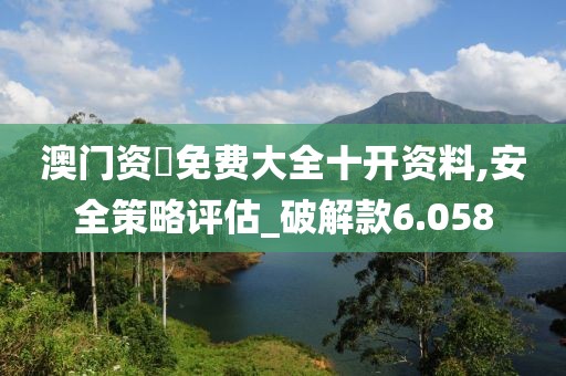 澳门资枓免费大全十开资料,安全策略评估_破解款6.058