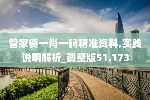 管家婆一肖一码精准资料,实践说明解析_调整版51.173