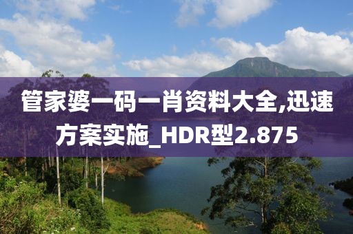 管家婆一码一肖资料大全,迅速方案实施_HDR型2.875